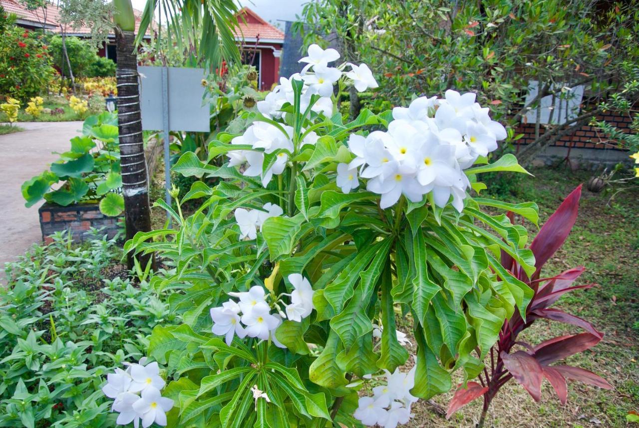 Phoumrumduol Bungalow Kampot Exterior photo