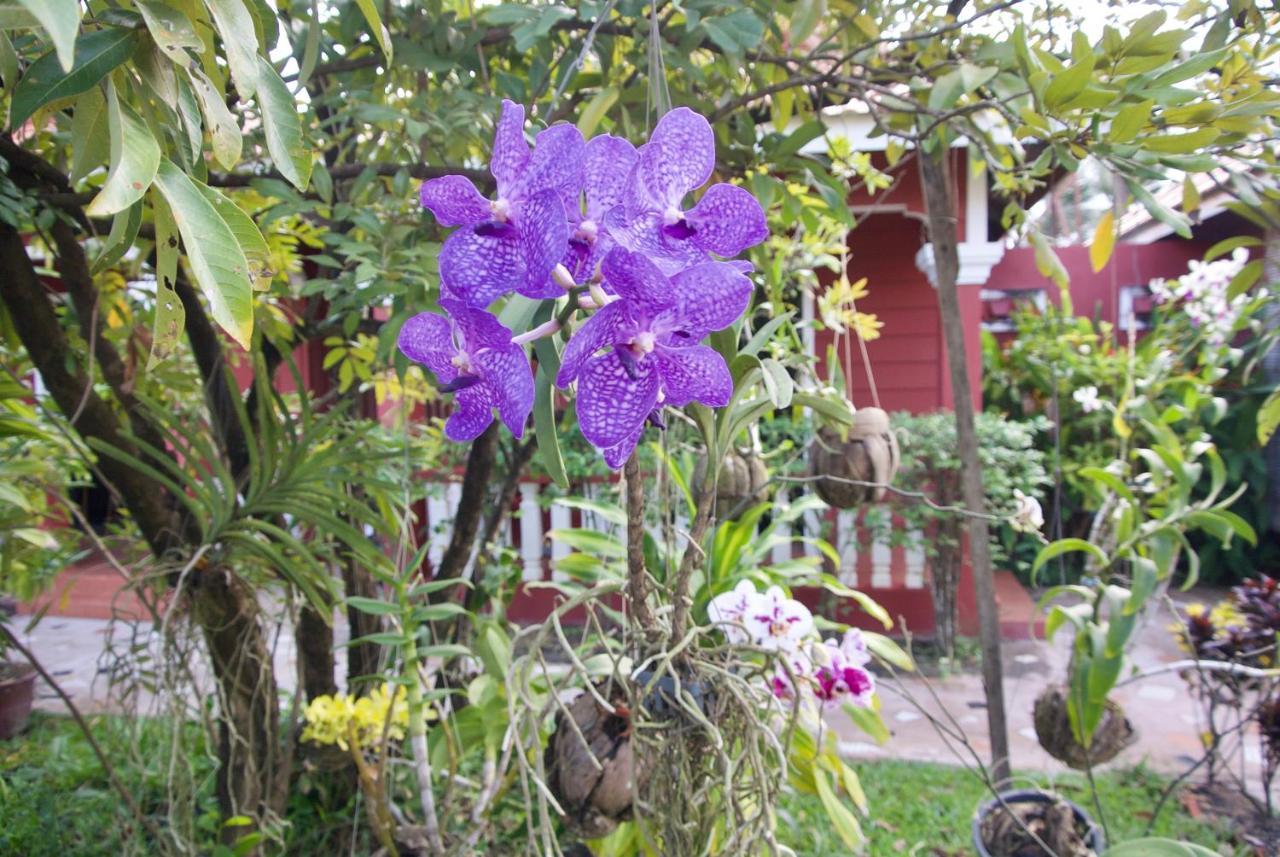 Phoumrumduol Bungalow Kampot Exterior photo